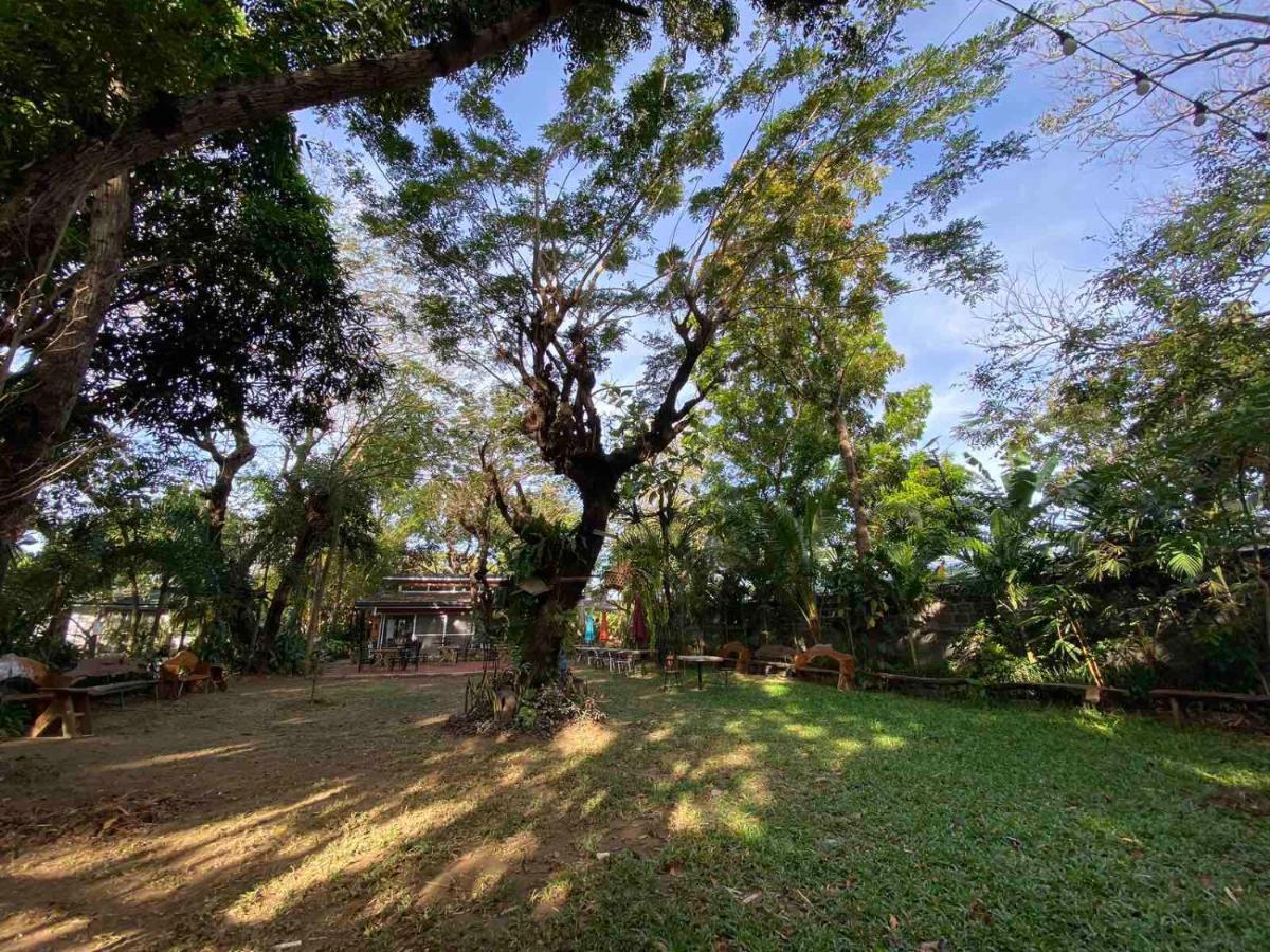 Rio Vista Bed And Breakfast Dagupan City Exterior photo